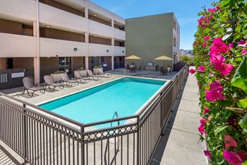 Resort style pool